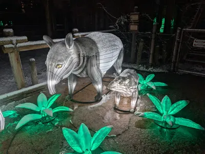 Denver Zoo Lights — photo 42