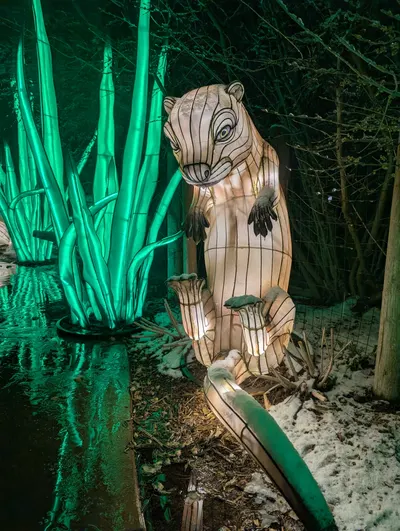 Denver Zoo Lights — photo 43