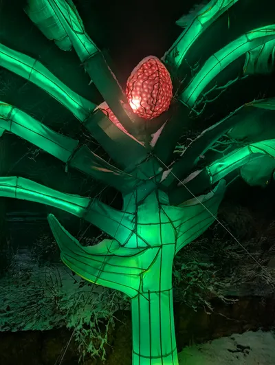 Denver Zoo Lights — photo 46