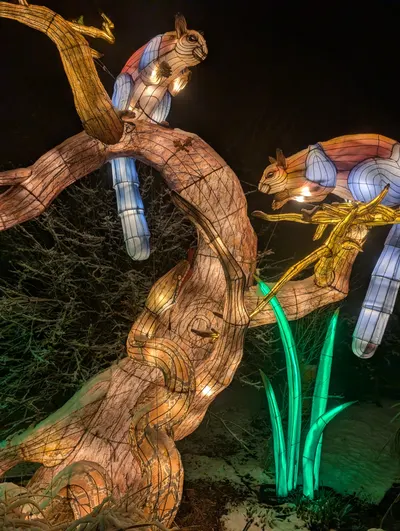 Denver Zoo Lights — photo 47