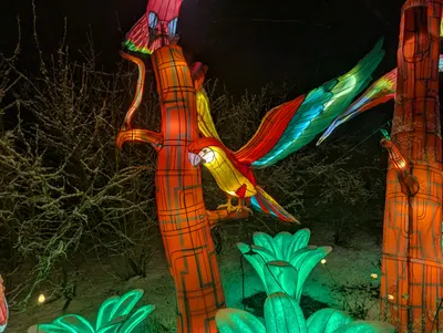 Denver Zoo Lights — photo 53