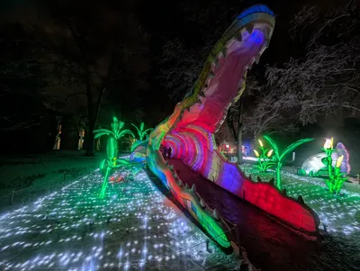 Denver Zoo Lights — photo 56