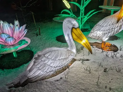 Denver Zoo Lights — photo 57