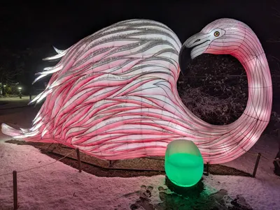 Denver Zoo Lights — photo 60
