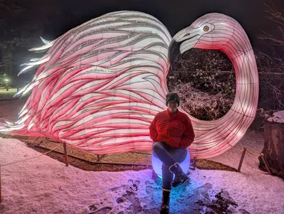 Denver Zoo Lights — photo 61