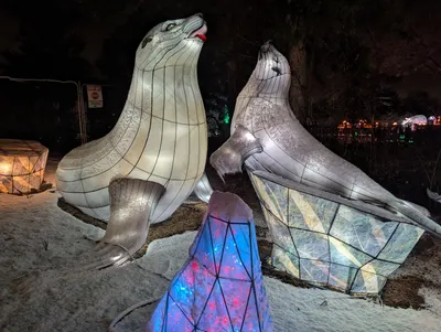 Denver Zoo Lights — photo 63