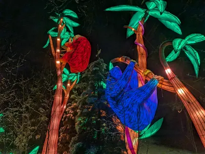 Denver Zoo Lights — photo 65