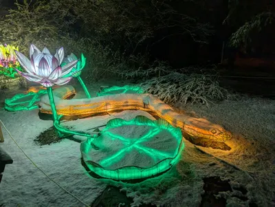 Denver Zoo Lights — photo 66