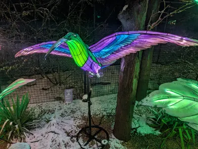 Denver Zoo Lights — photo 68