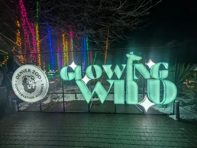 Denver Zoo Lights — photo 69
