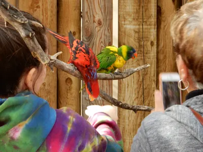 Denver Zoo — photo 11