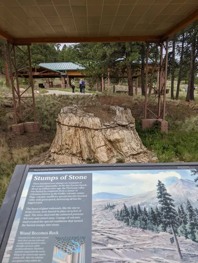 Eleven Mile State Park / Florissant Fossil Beds — photo 4