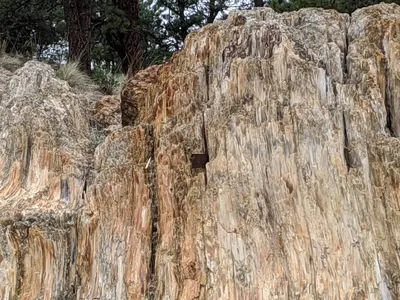 Eleven Mile State Park / Florissant Fossil Beds — photo 20