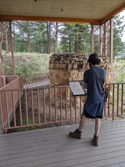 Eleven Mile State Park / Florissant Fossil Beds — photo 22