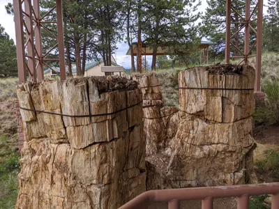 Eleven Mile State Park / Florissant Fossil Beds — photo 23