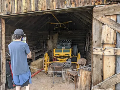 Eleven Mile State Park / Florissant Fossil Beds — photo 29