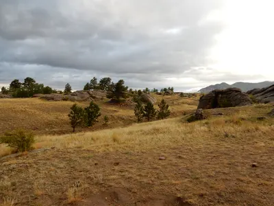 Eleven Mile State Park / Florissant Fossil Beds — photo 42