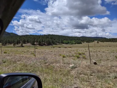 Eleven Mile State Park / Florissant Fossil Beds — photo 45