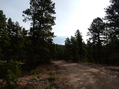 Gordon Gulch — photo 10
