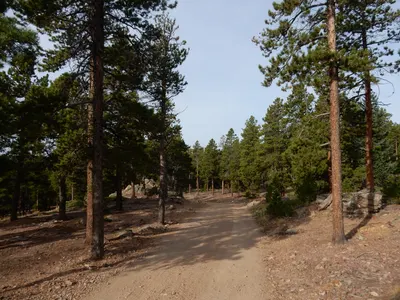 Gordon Gulch — photo 11