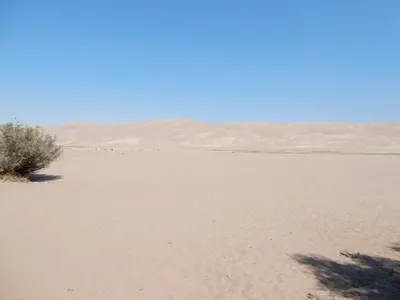 Great Sand Dunes National Park — photo 9