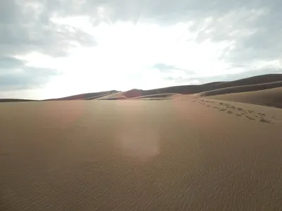 Great Sand Dunes National Park — photo 23