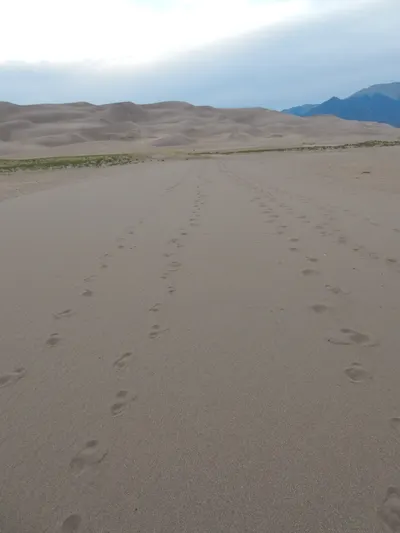 Great Sand Dunes National Park — photo 28