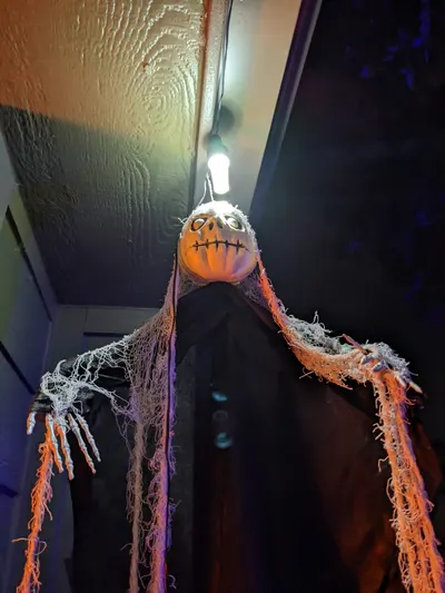 Halloween 2024 — photo 13