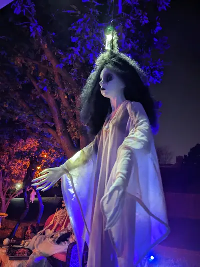 Halloween 2024 — photo 21
