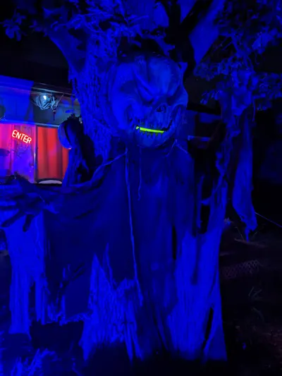 Halloween 2024 — photo 23