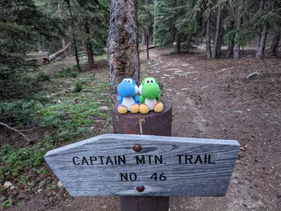 Echo Lake — photo 7