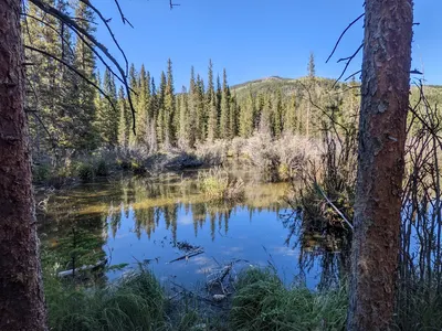 Jefferson Lake (Lodgepole, CO) – 2 — photo 7