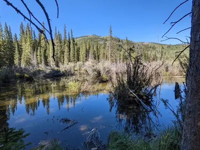 Jefferson Lake (Lodgepole, CO) – 2 — photo 8