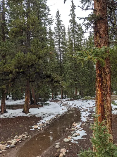 Jefferson Lake (Lodgepole, CO) — photo 3