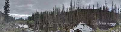 Jefferson Lake (Lodgepole, CO) — photo 9