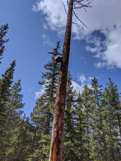 Jefferson Lake (Lodgepole, CO) — photo 14