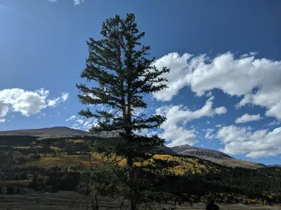 New Camper (Frisco, CO) — photo 19