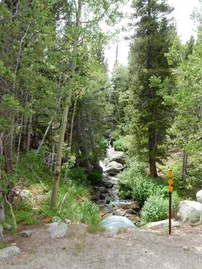 RMNP / Olive Ridge Campground — photo 13