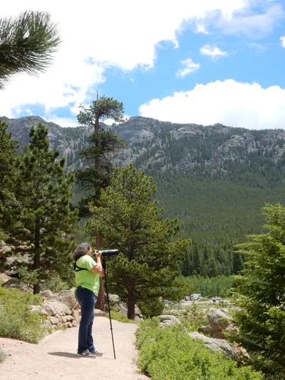 RMNP / Olive Ridge Campground — photo 14