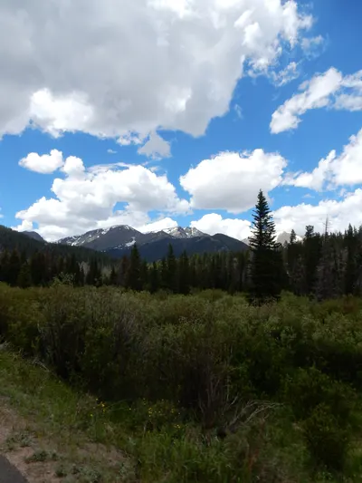 RMNP / Olive Ridge Campground — photo 24