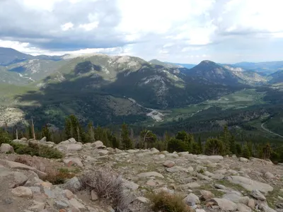 RMNP / Olive Ridge Campground — photo 26