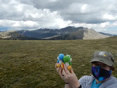 RMNP / Olive Ridge Campground — photo 30