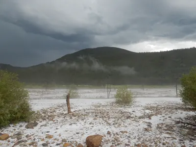 RMNP / Olive Ridge Campground — photo 36