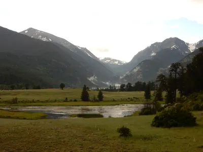 RMNP / Olive Ridge Campground — photo 39