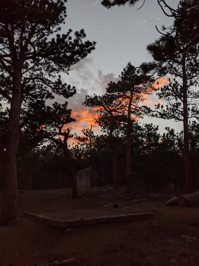 RMNP / Olive Ridge Campground — photo 50