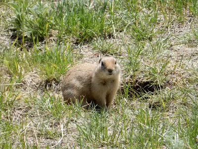 Rocky Mountain National Park — photo 6