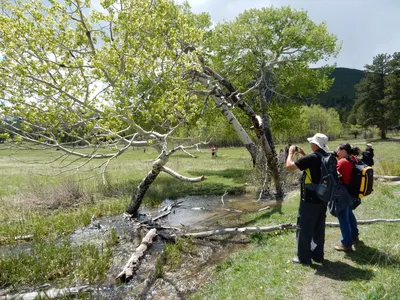 Rocky Mountain National Park — photo 11
