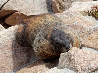 Rocky Mountain National Park — photo 13
