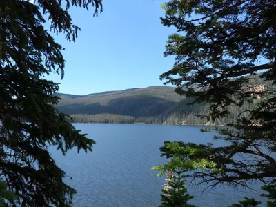 Roosevelt National Forest — photo 5