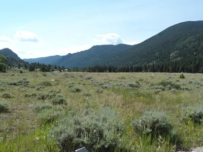 Roosevelt National Forest — photo 16